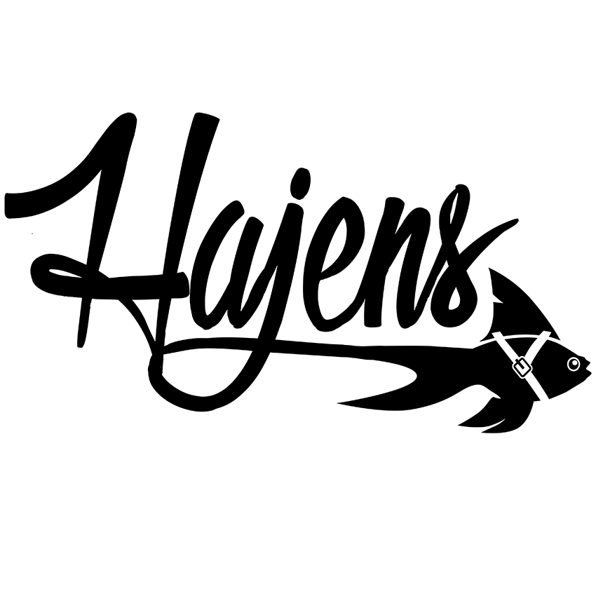 Hajens Skadeteknik