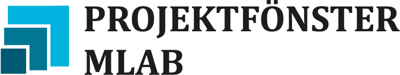Projektfönster