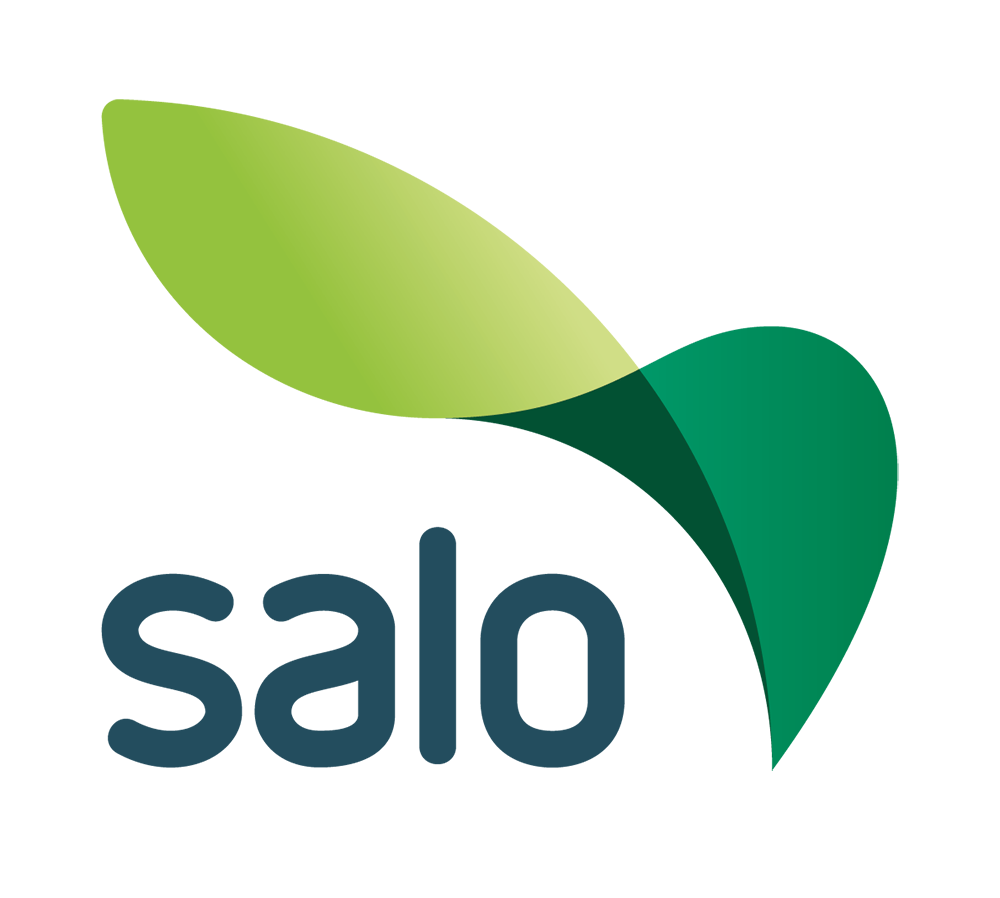 Salon kaupunki